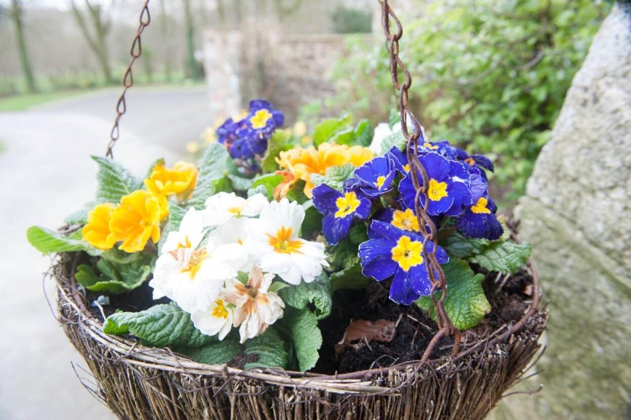 Knole Farm Bed & Breakfast Okehampton Bagian luar foto